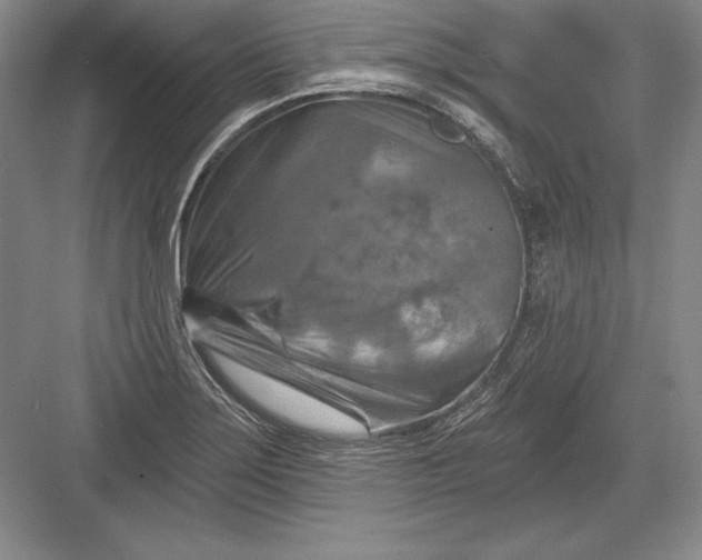 X0000082961275200702152256