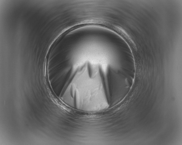 X0000082961276200702152256