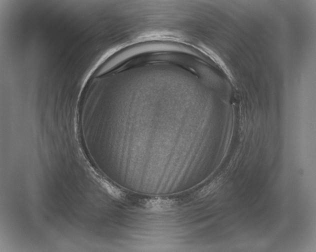 X0000082961277200702152256