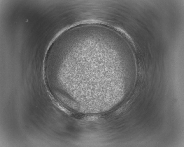 X0000082961278200702152256