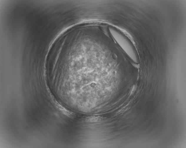 X0000082961279200702152256