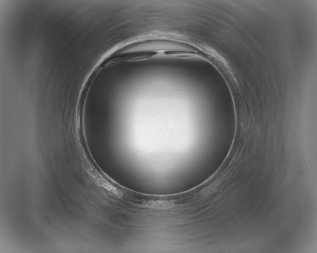 X0000082961280200702152256