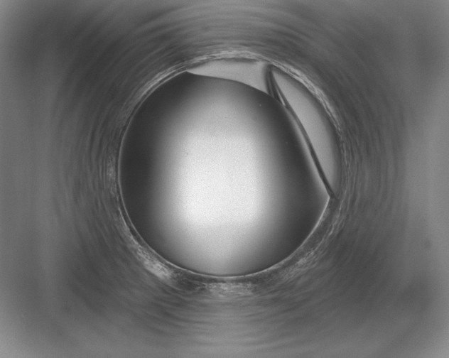 X0000082961281200702152256