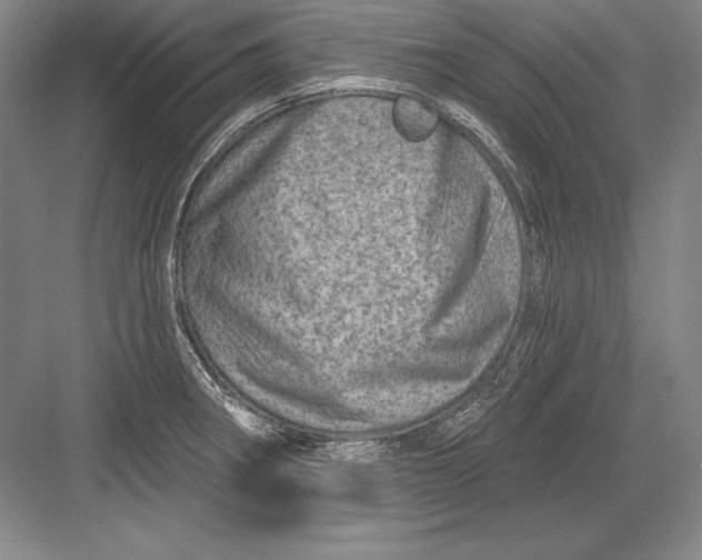 X0000082961282200702152256