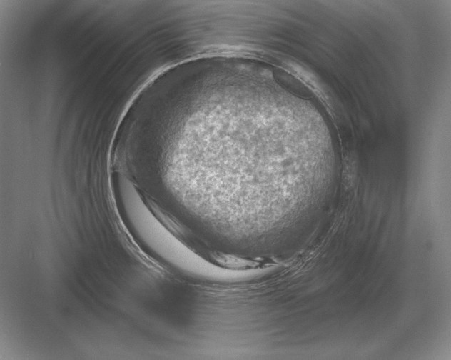 X0000082961283200702152256