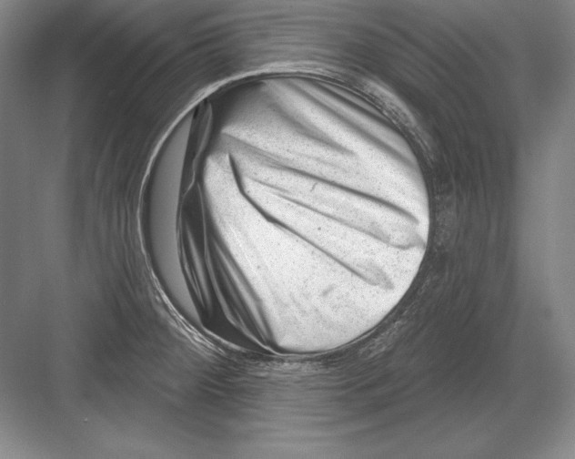 X0000082961284200702152256