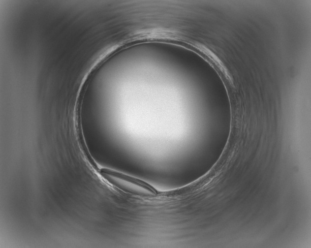 X0000082961285200702152256