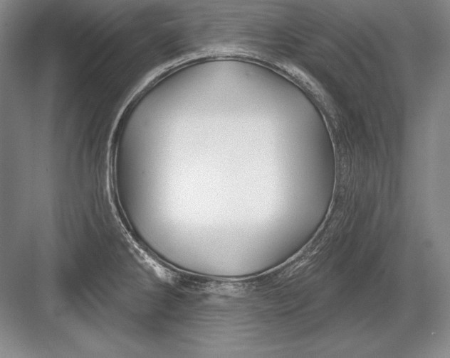 X0000082961286200702152256