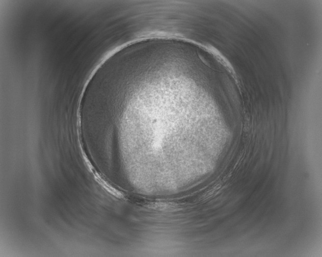 X0000082961287200702152256