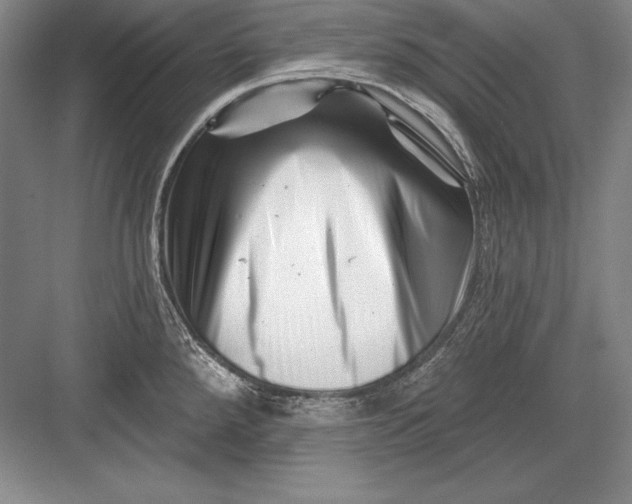 X0000082961288200702152256