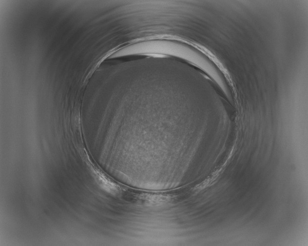 X0000082961289200702152256