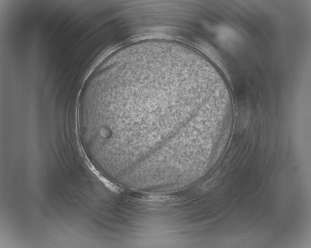 X0000082961290200702152256