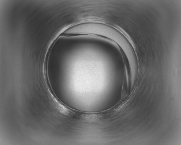 X0000082961293200702152256