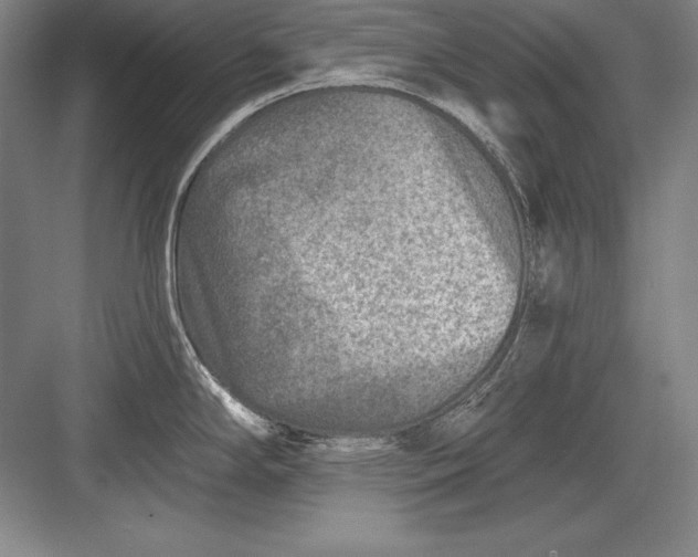 X0000082961294200702152256