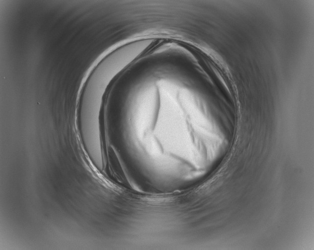 X0000082961296200702152256