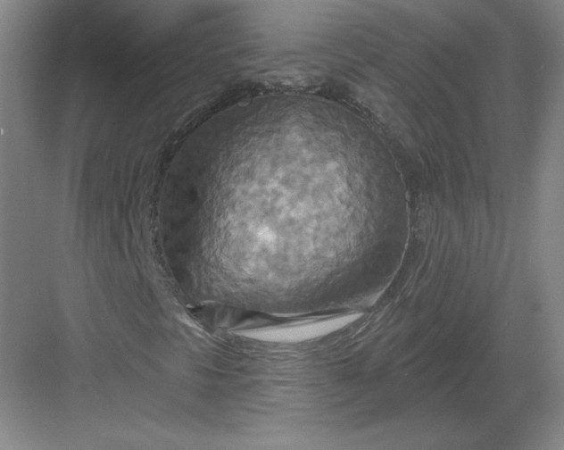 X0000082961297200702152255