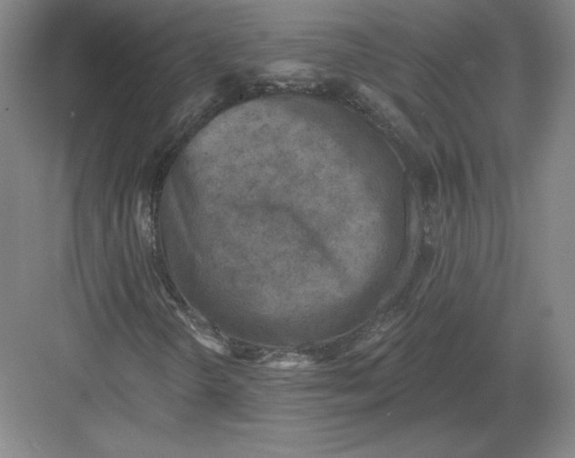 X0000082961298200702152255