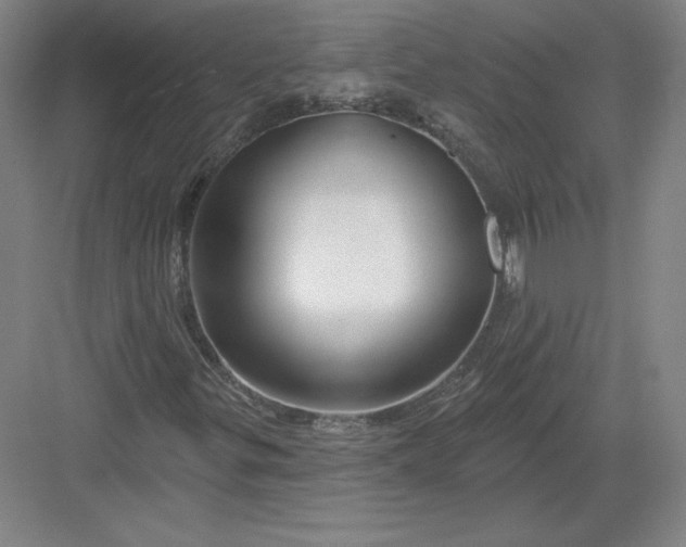 X0000082961299200702152255