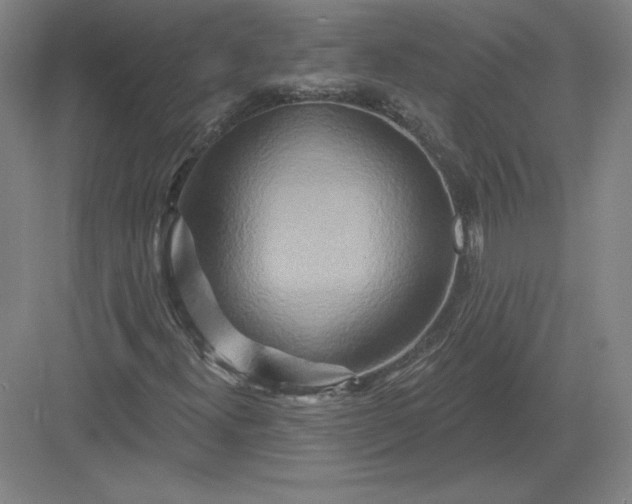 X0000082961300200702152255