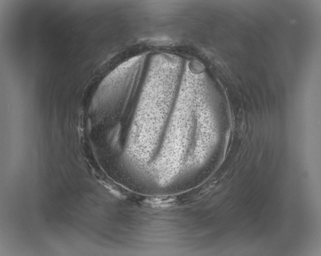 X0000082961301200702152255