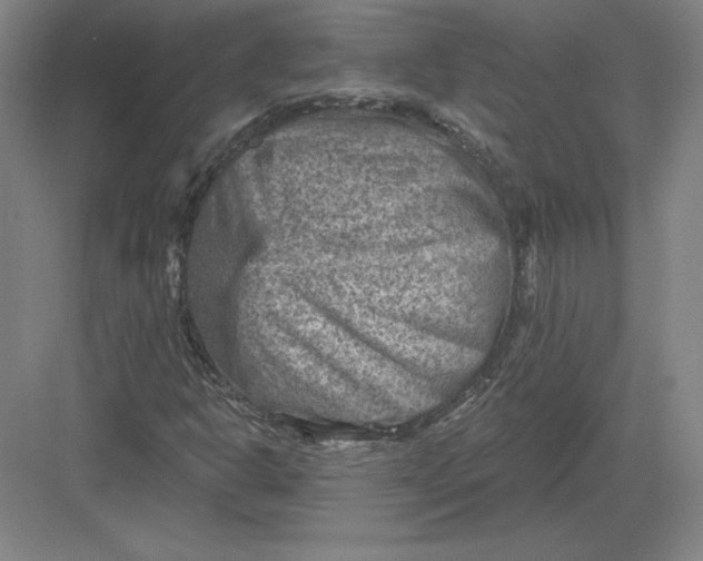 X0000082961302200702152255