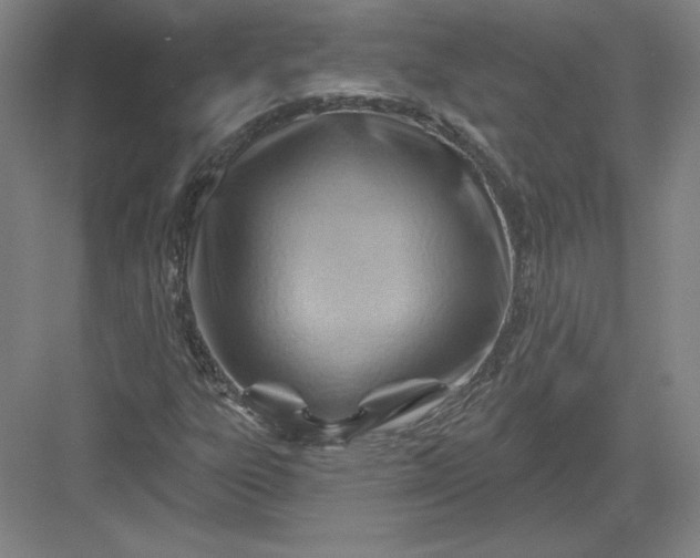 X0000082961303200702152255