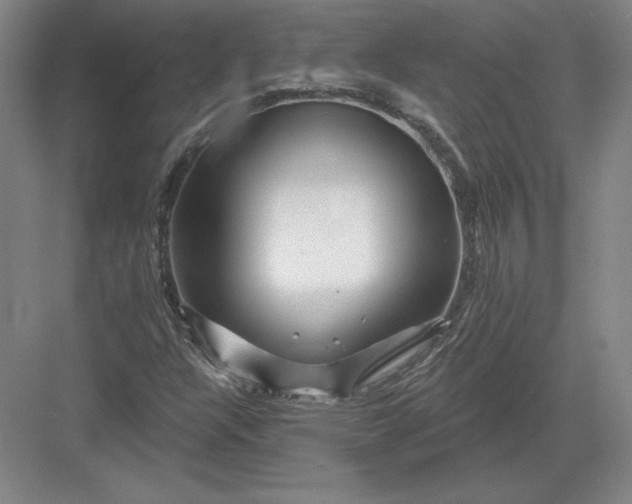 X0000082961304200702152255