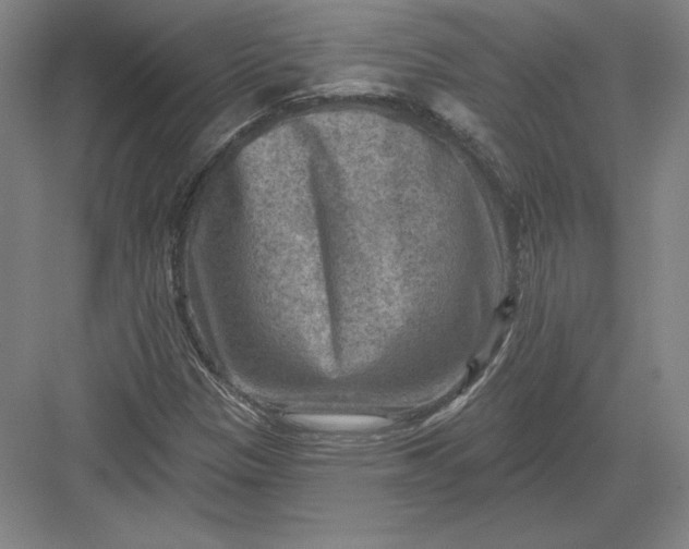 X0000082961305200702152255