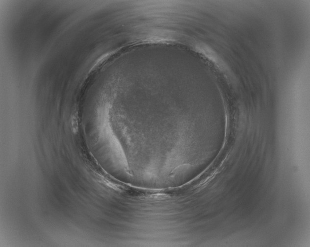 X0000082961306200702152255