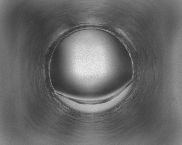 X0000082961307200702152255