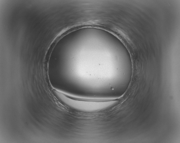 X0000082961308200702152255