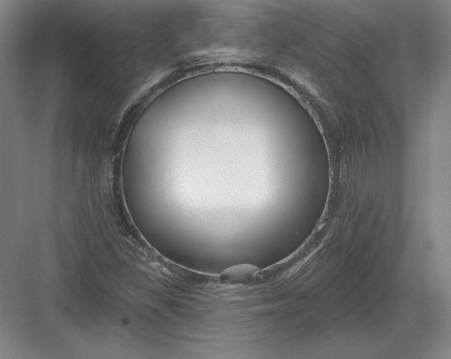 X0000082961309200702152255