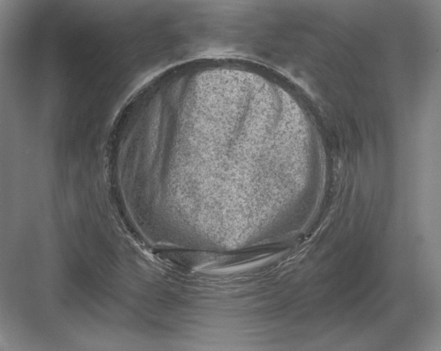 X0000082961311200702152255