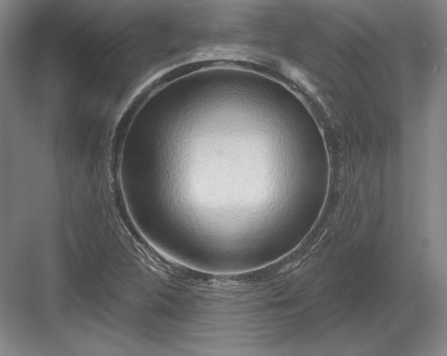 X0000082961312200702152255