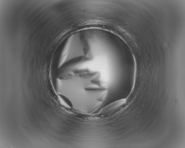 X0000082961313200702152255