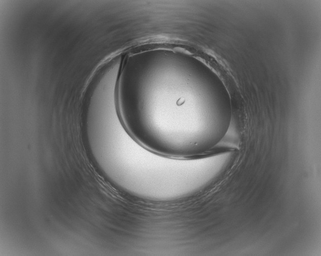 X0000082961314200702152255