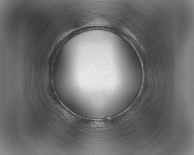 X0000082961315200702152255