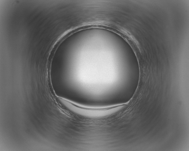 X0000082961316200702152255