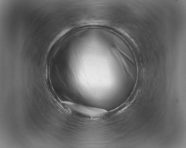 X0000082961317200702152255