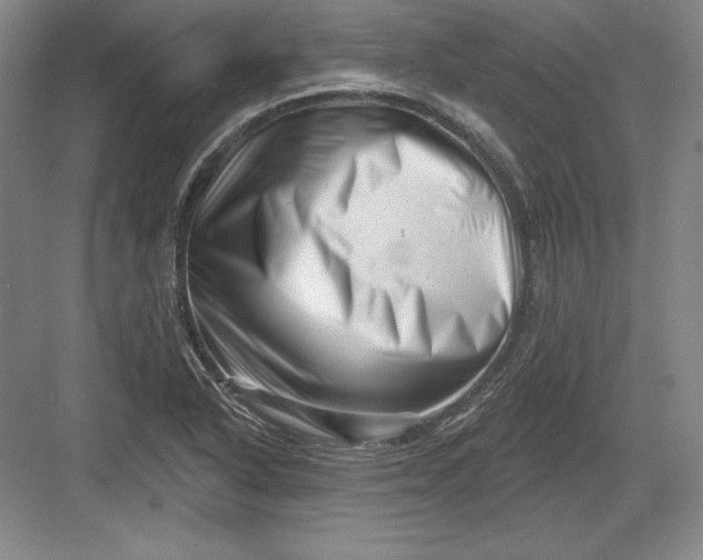 X0000082961318200702152255