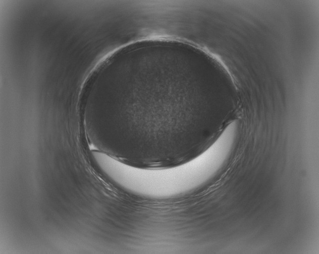 X0000082961319200702152255