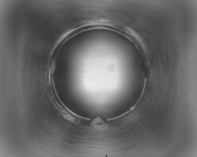 X0000082961320200702152255