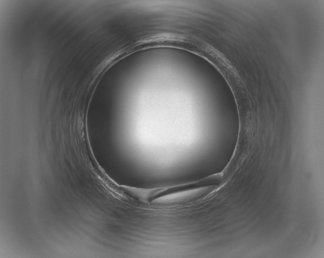 X0000082961321200702152255