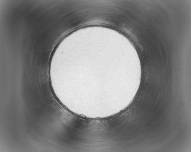 X0000082961322200702152255