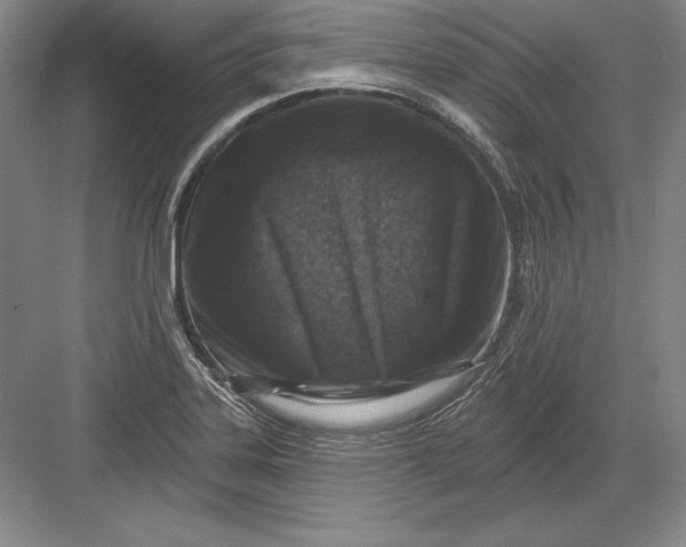 X0000082961323200702152255