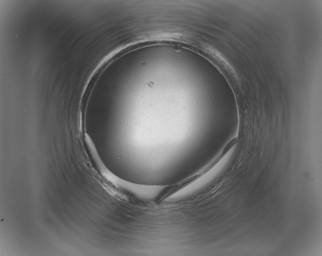 X0000082961324200702152256