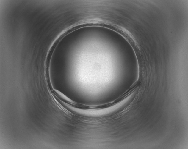 X0000082961326200702152256