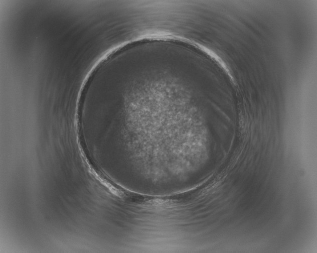 X0000082961327200702152256