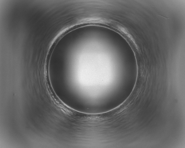 X0000082961328200702152256