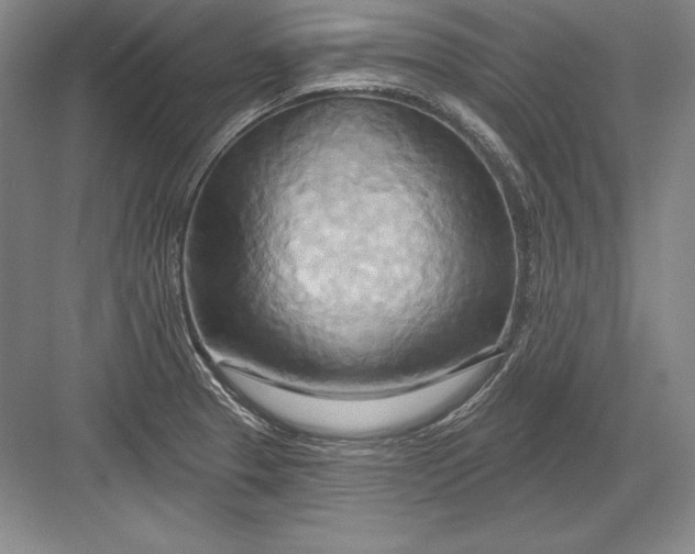 X0000082961329200702152256